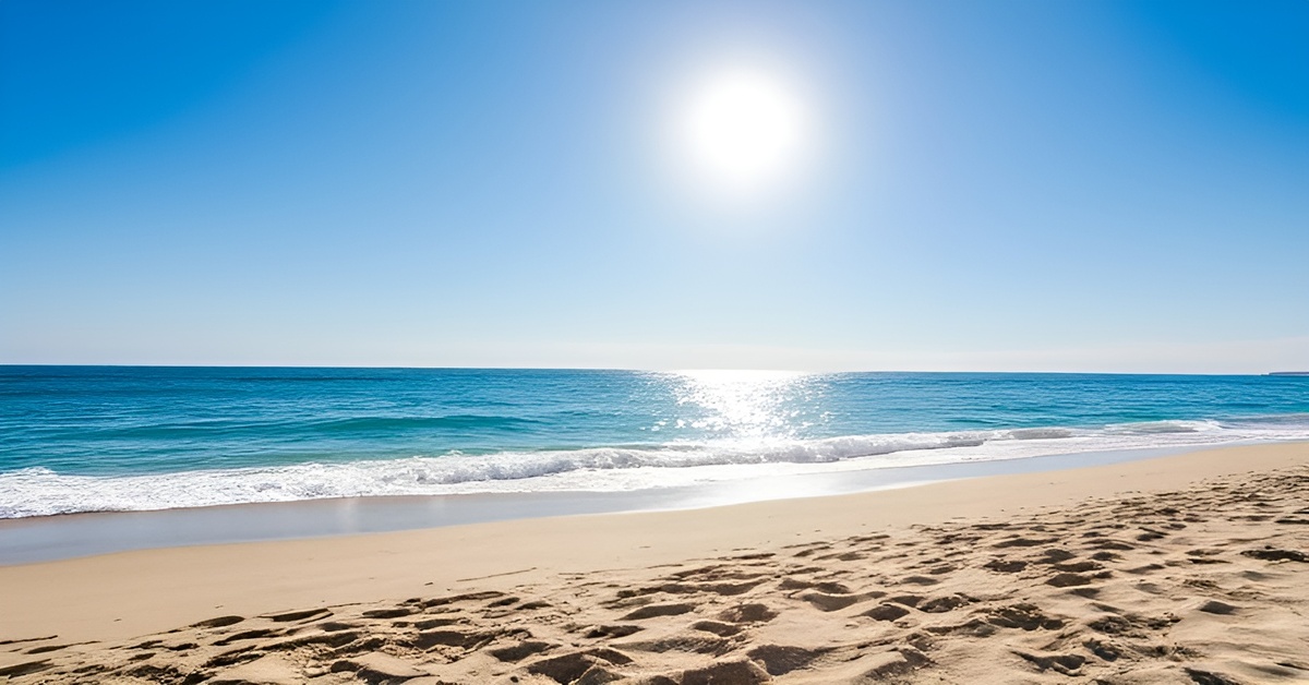 The Ocean The Sand The Sun - Poem - Little Authors