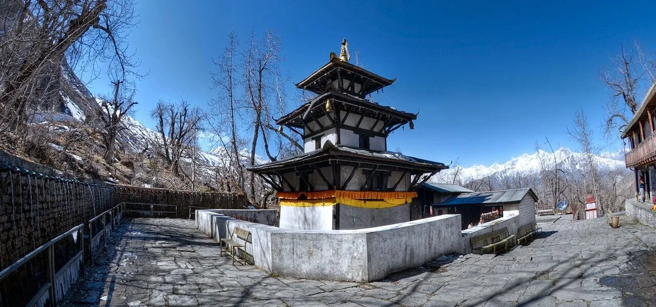 Nature in Mustang