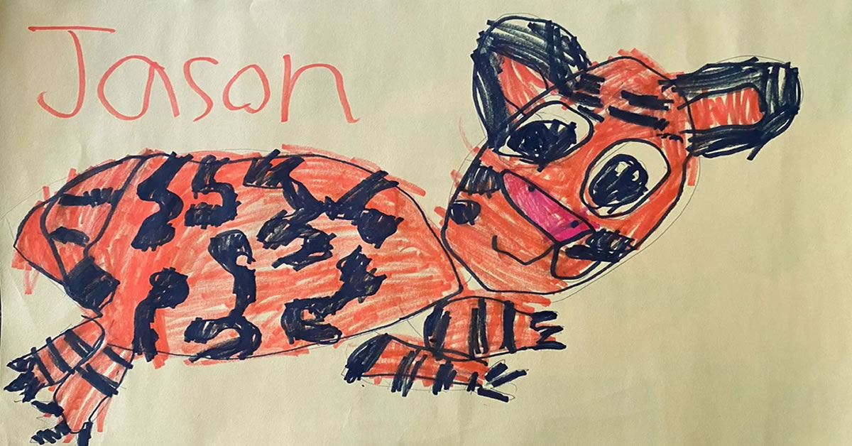 Learning About Tigers