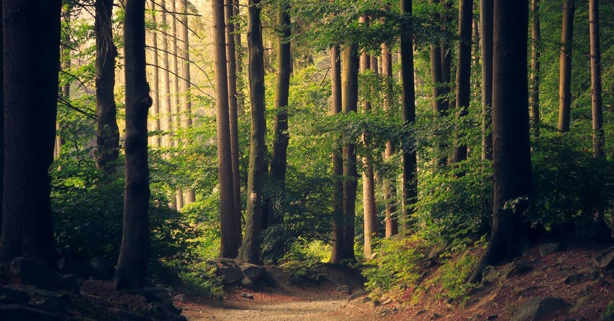 Poem – Nature