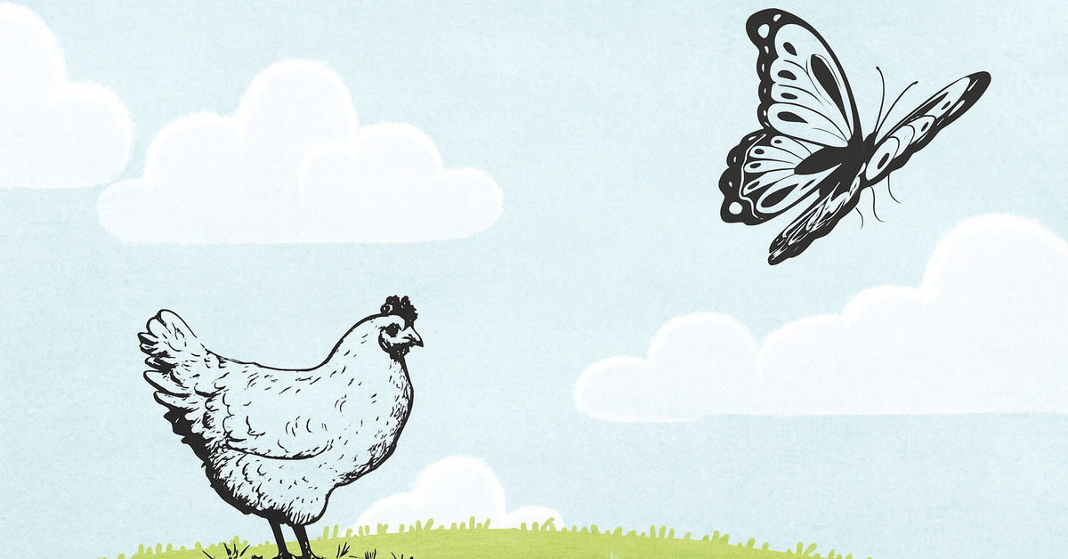 The Hen and the Butterfly - Story - Little Authors
