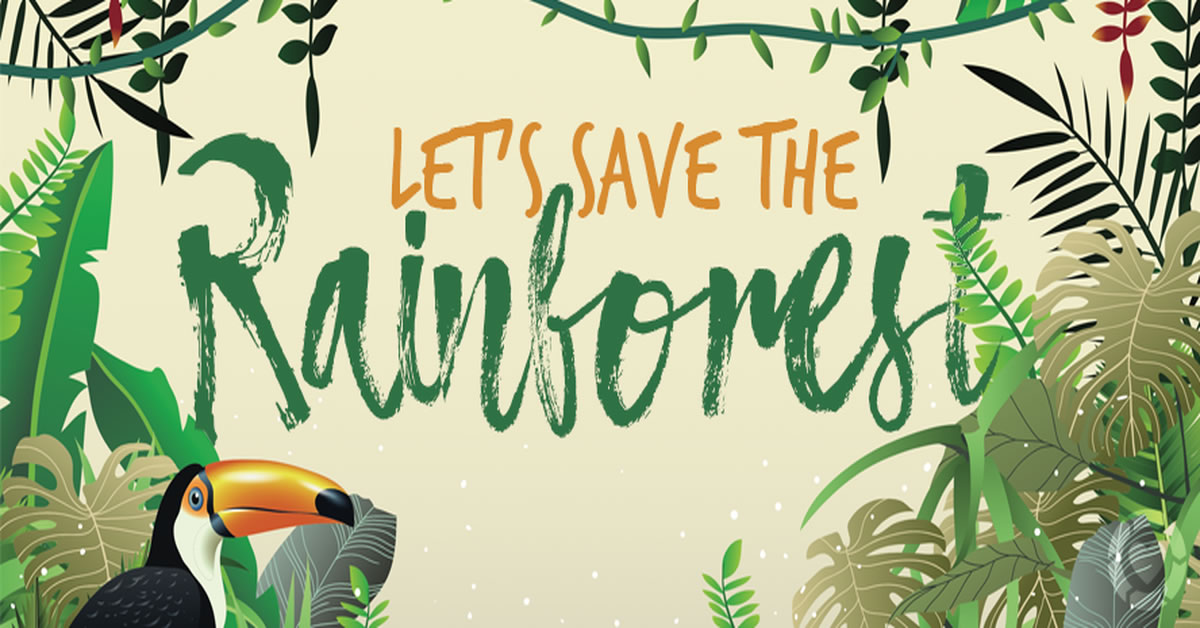 Rainforest Save - Essay - Little Authors